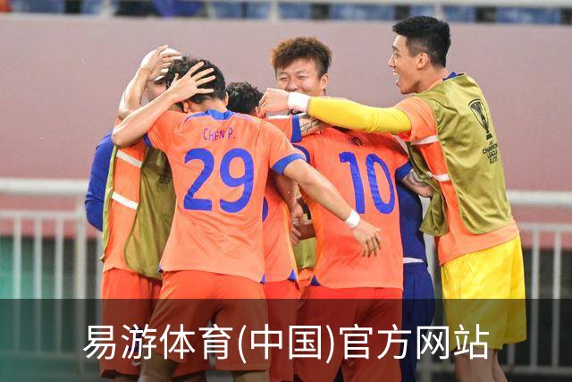 易游体育(中国)官方网站公司简介